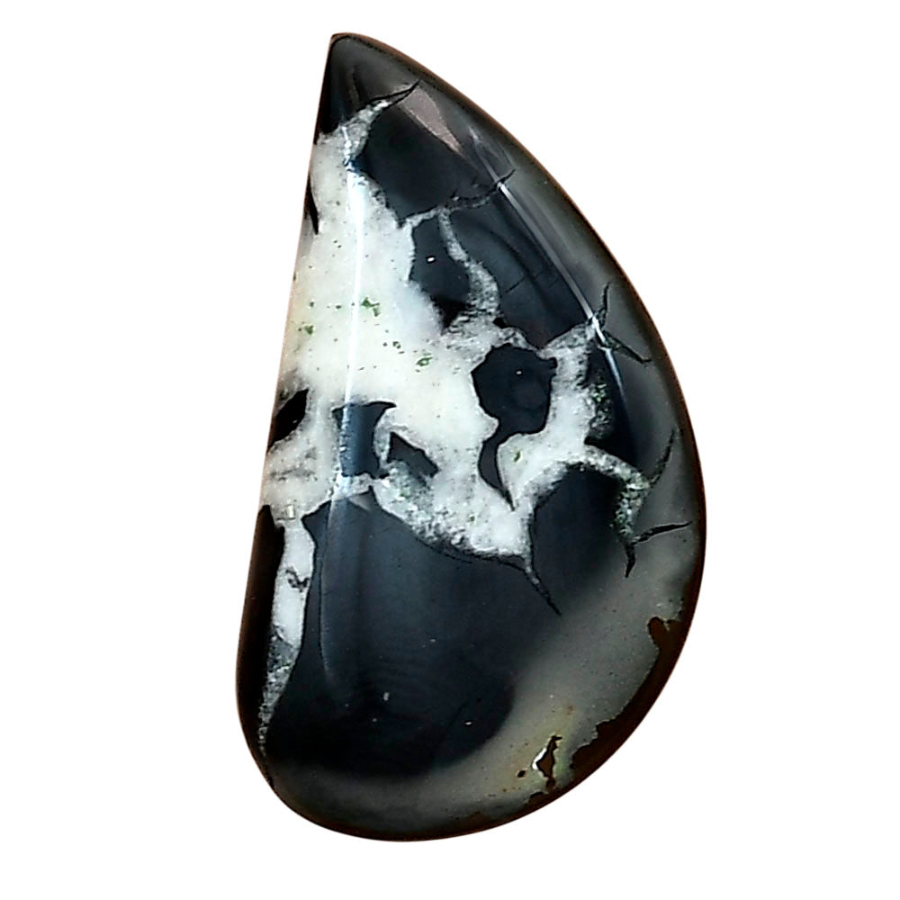 Black Septarian 28x15.6x4.8 mm Fancy Gemstone LS02879-47