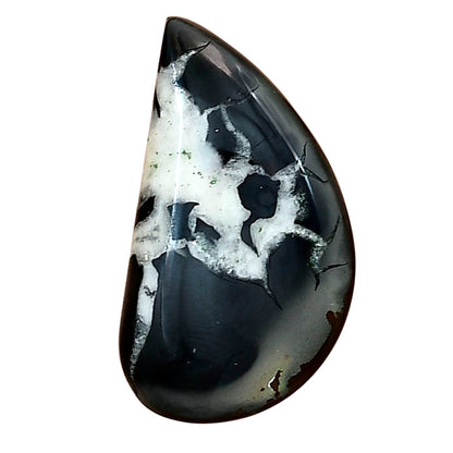 Black Septarian 28x15.6x4.8 mm Fancy Gemstone LS02879-47