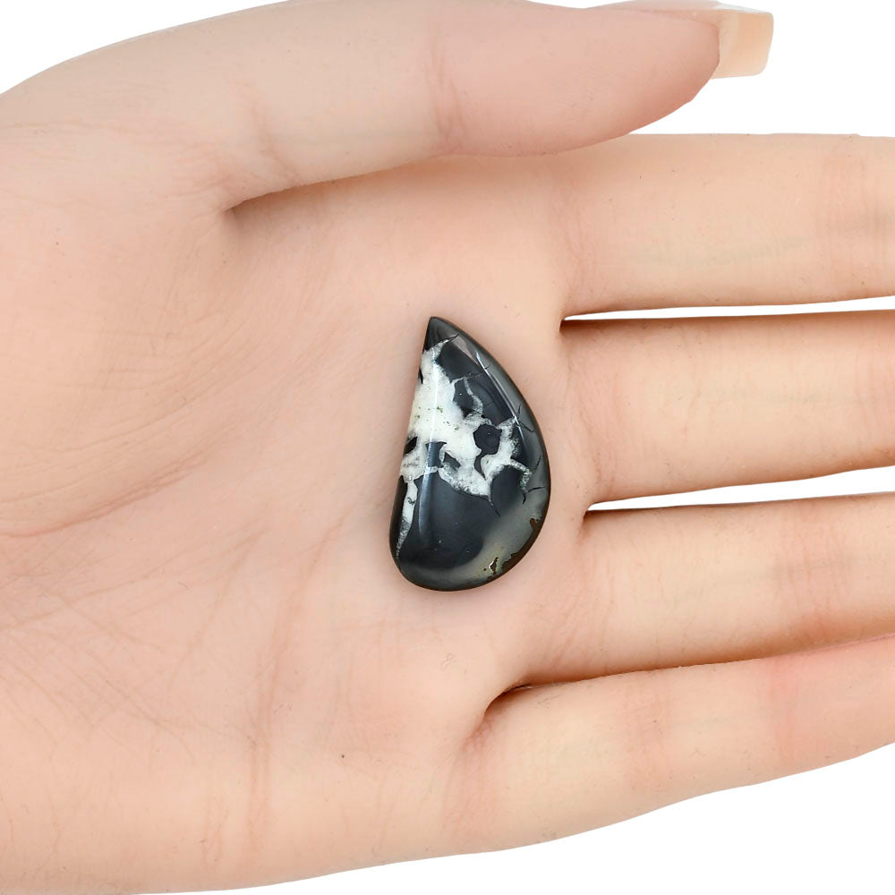 Black Septarian 28x15.6x4.8 mm Fancy Gemstone LS02879-47