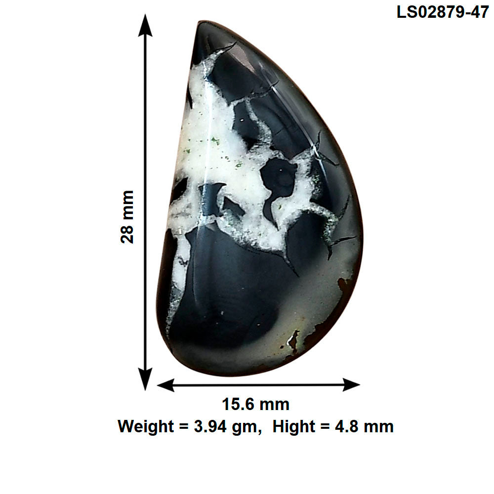 Black Septarian 28x15.6x4.8 mm Fancy Gemstone LS02879-47
