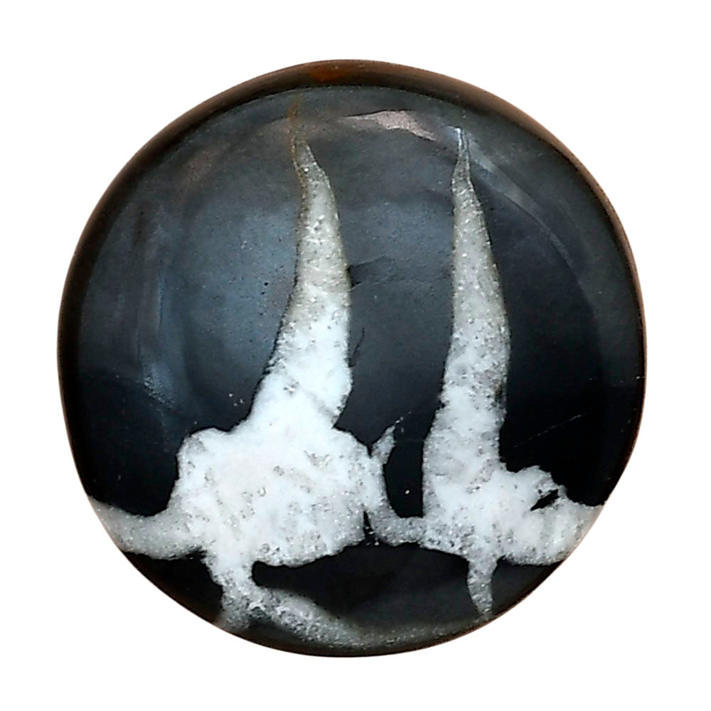 Black Septarian 24.8x24.8x6.5 mm Round Gemstone LS02880-47