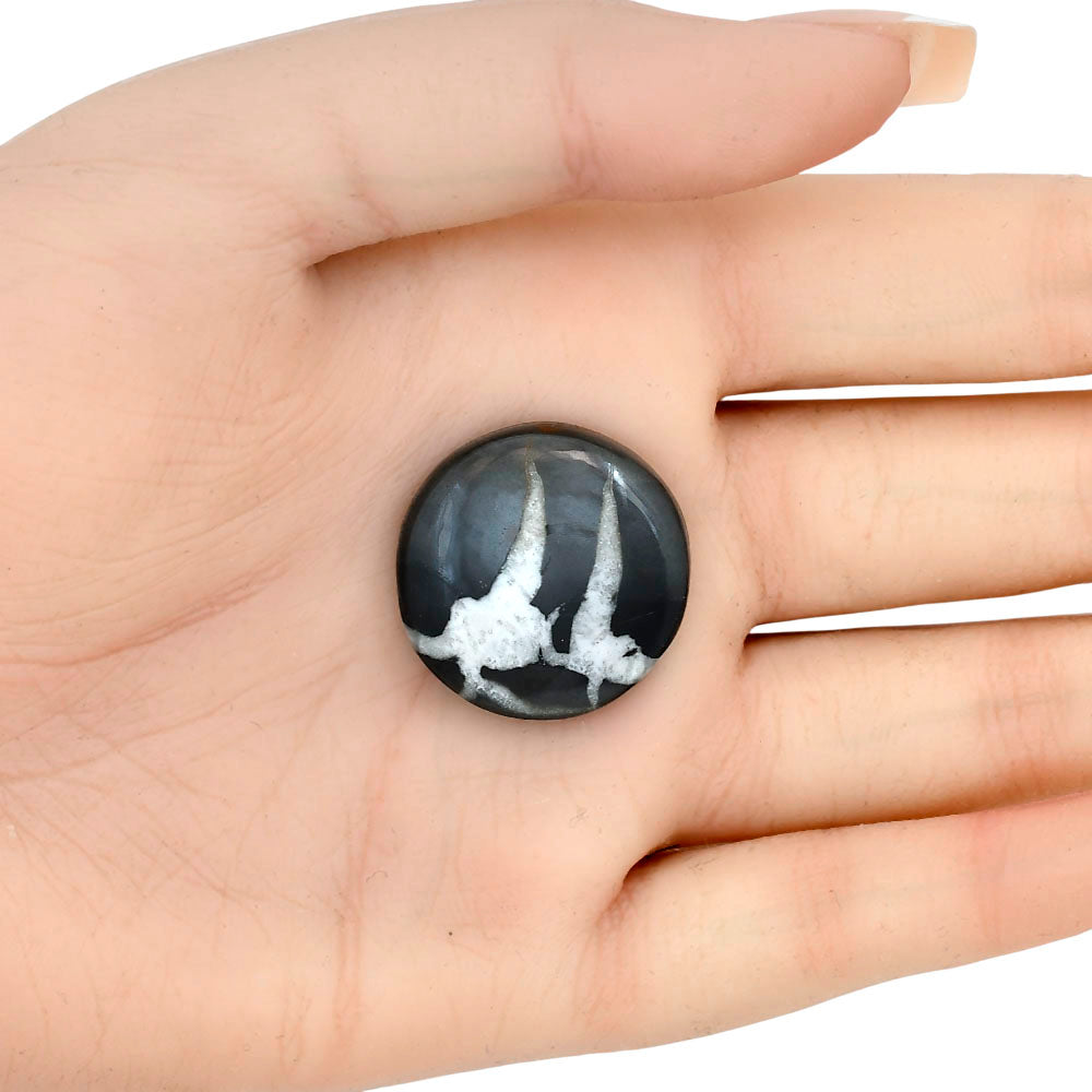 Black Septarian 24.8x24.8x6.5 mm Round Gemstone LS02880-47