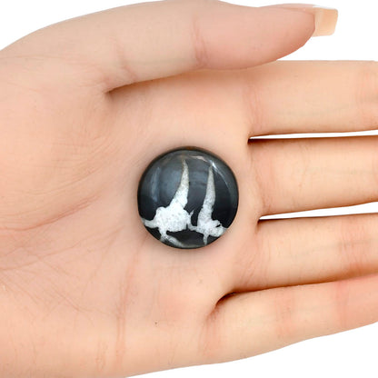 Black Septarian 24.8x24.8x6.5 mm Round Gemstone LS02880-47