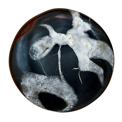 Black Septarian 28.5x28.5x5.5 mm Round Gemstone LS02881-47