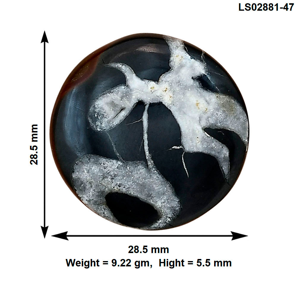 Black Septarian 28.5x28.5x5.5 mm Round Gemstone LS02881-47