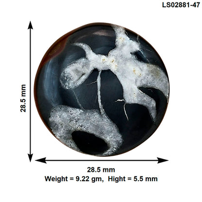 Black Septarian 28.5x28.5x5.5 mm Round Gemstone LS02881-47