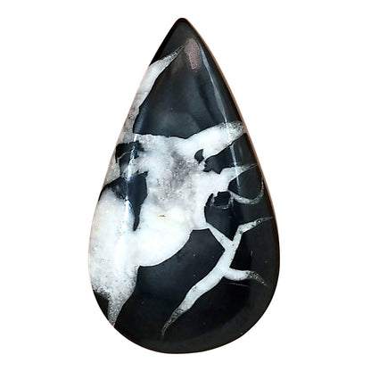 Black Septarian 34x19.55x6.5 mm Pear Gemstone LS02883-47