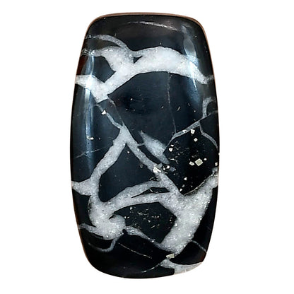 Black Septarian 29.4x17.9x5.5 mm Baguette Gemstone LS02885-47