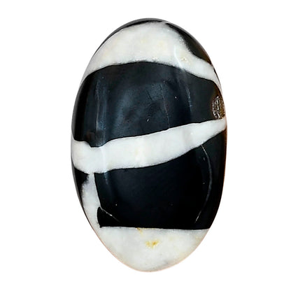 Black Septarian 27.2x16.75x6 mm Oval Gemstone LS02886-47