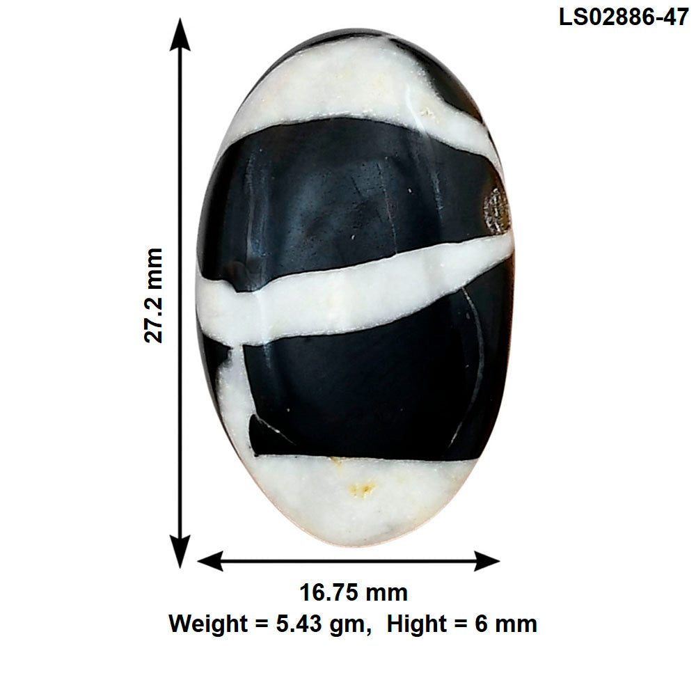 Black Septarian 27.2x16.75x6 mm Oval Gemstone LS02886-47