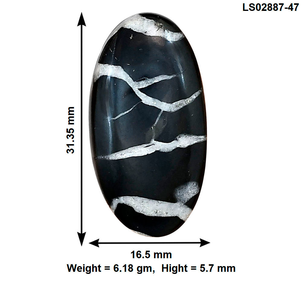 Black Septarian 31.35x16.5x5.7 mm Oval Gemstone LS02887-47