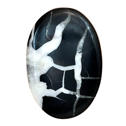 Black Septarian 32.5x22.25x4 mm Oval Gemstone LS02888-47