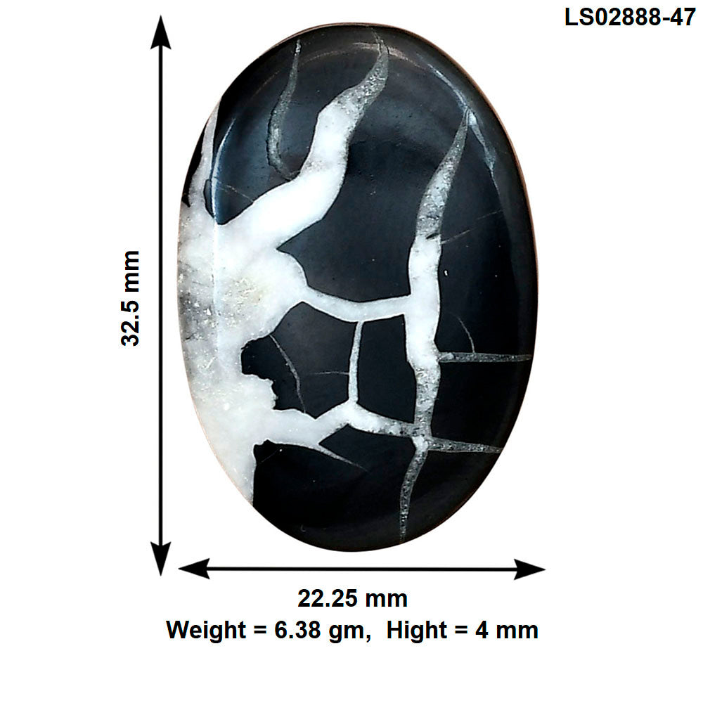 Black Septarian 32.5x22.25x4 mm Oval Gemstone LS02888-47