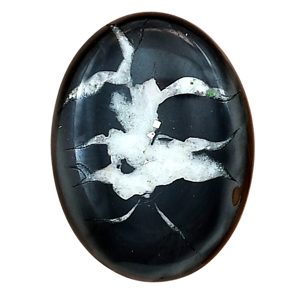 Black Septarian 26.8x20.15x4 mm Oval Gemstone LS02890-47