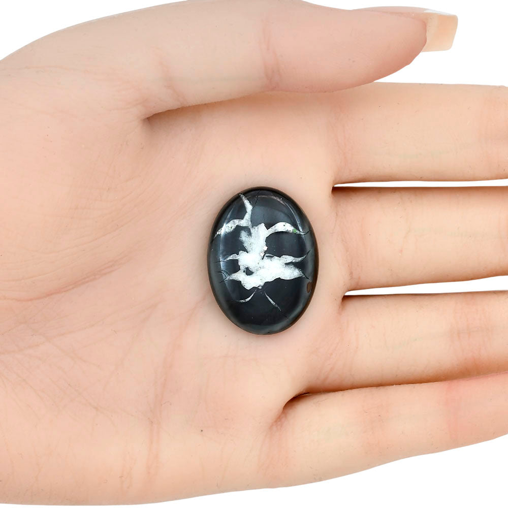 Black Septarian 26.8x20.15x4 mm Oval Gemstone LS02890-47