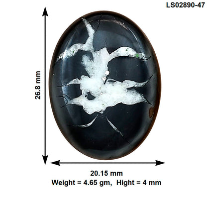 Black Septarian 26.8x20.15x4 mm Oval Gemstone LS02890-47