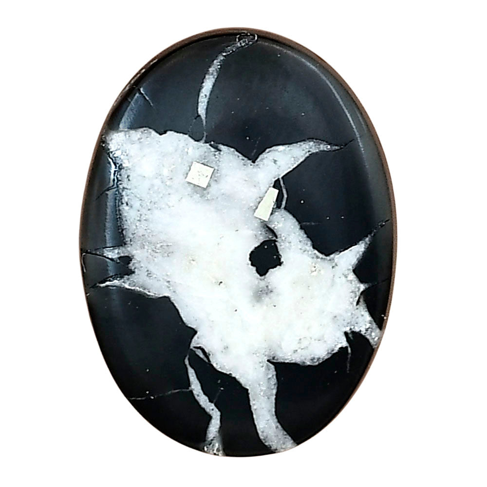 Black Septarian 27.1x20.15x3.7 mm Oval Gemstone LS02894-47