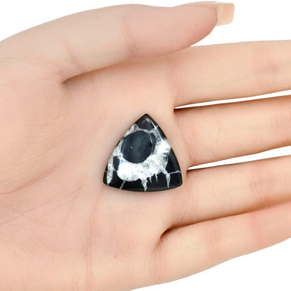 Black Septarian 24.6x24x4.5 mm Fancy Gemstone LS02895-47
