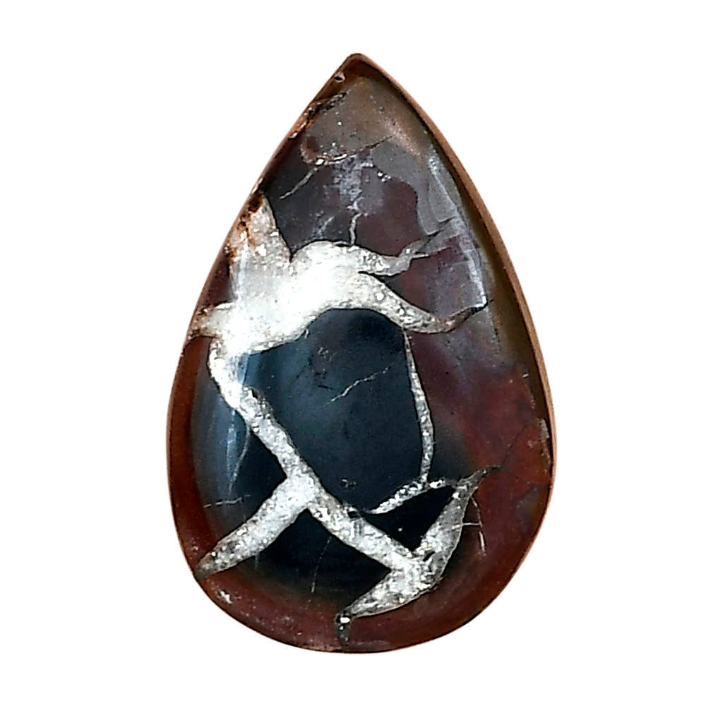 Black Septarian 24.2x15.8x5 mm Pear Gemstone LS02896-47
