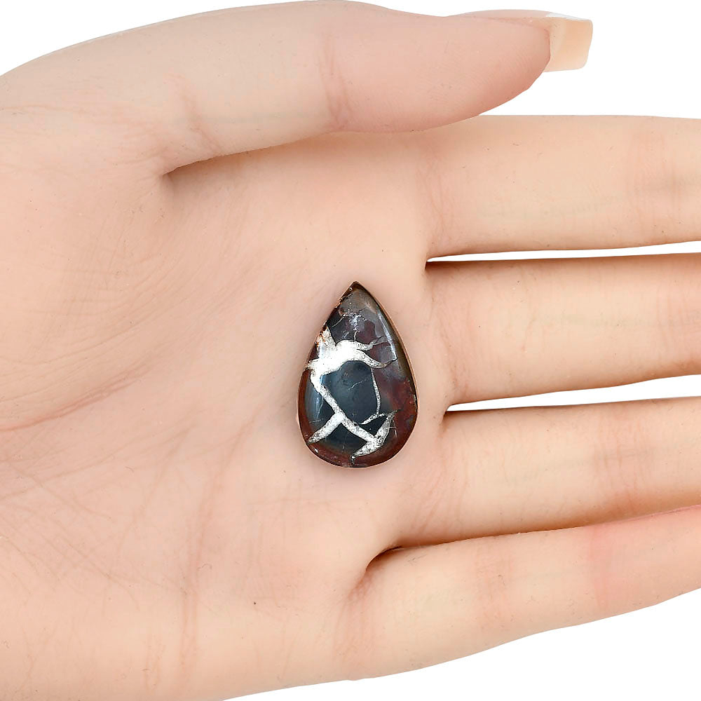 Black Septarian 24.2x15.8x5 mm Pear Gemstone LS02896-47