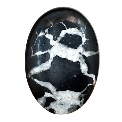 Black Septarian 29.5x20.5x6 mm Oval Gemstone LS02899-47
