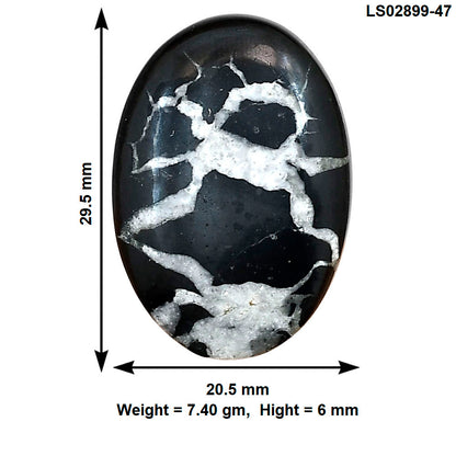 Black Septarian 29.5x20.5x6 mm Oval Gemstone LS02899-47