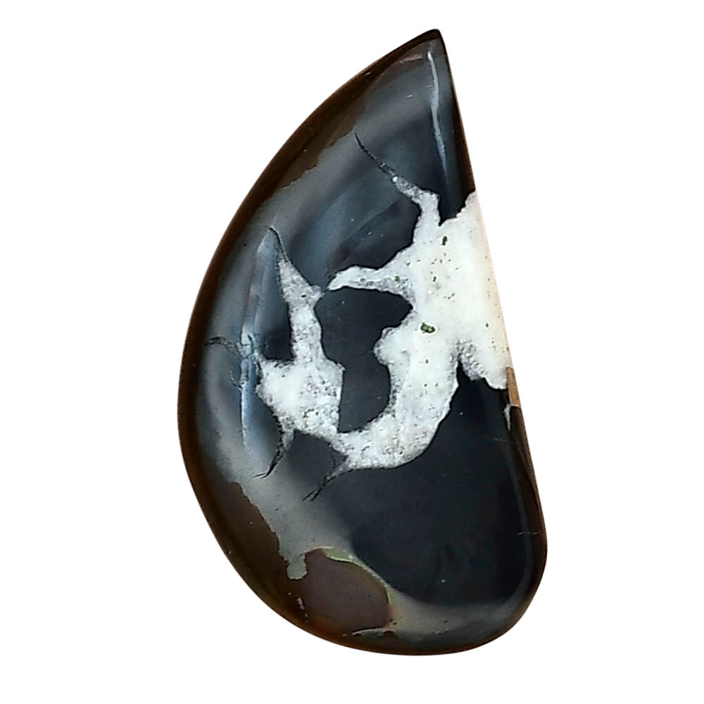 Black Septarian 27.8x15.25x4.3 mm Fancy Gemstone LS02903-47