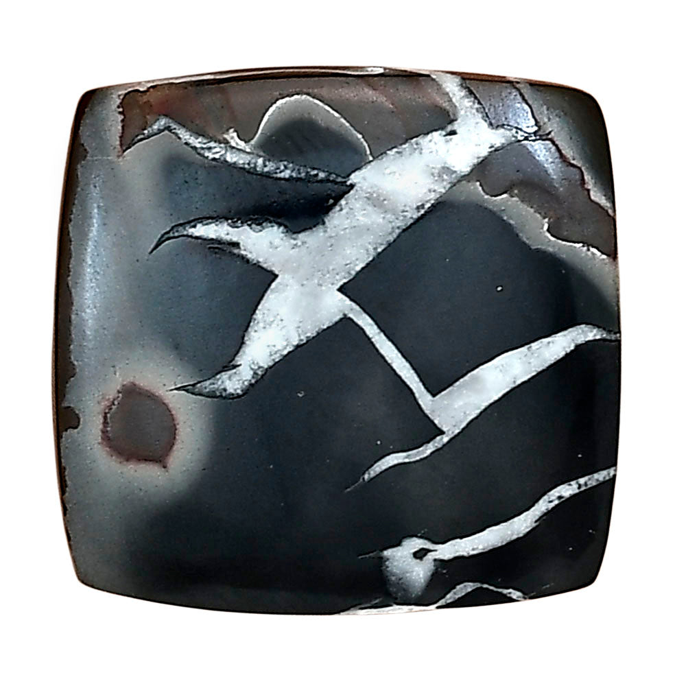 Black Septarian 23.5x22.6x3.5 mm Baguette Gemstone LS02905-47