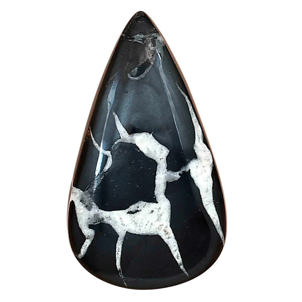 Black Septarian 33.8x19.45x6 mm Pear Gemstone LS02910-47
