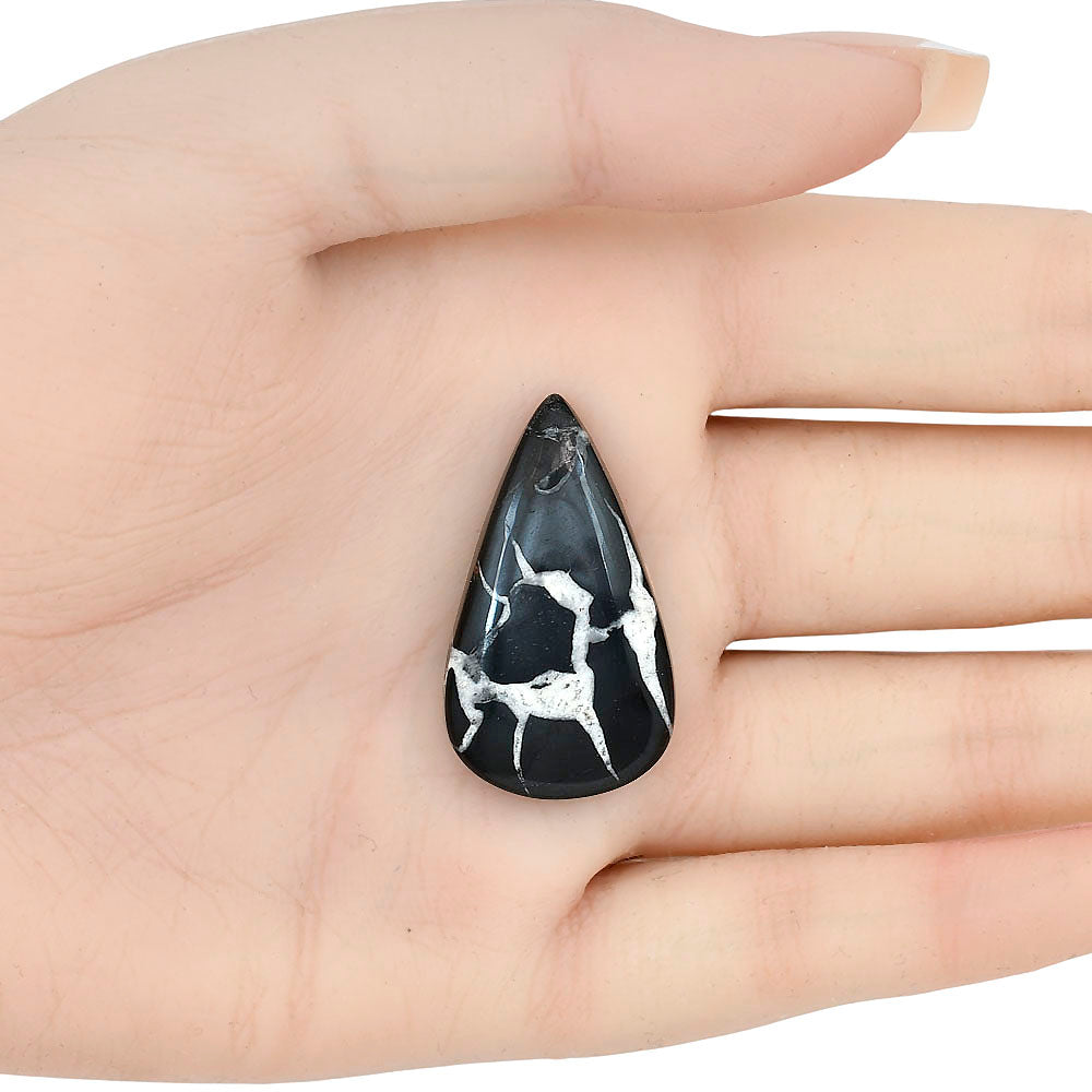 Black Septarian 33.8x19.45x6 mm Pear Gemstone LS02910-47