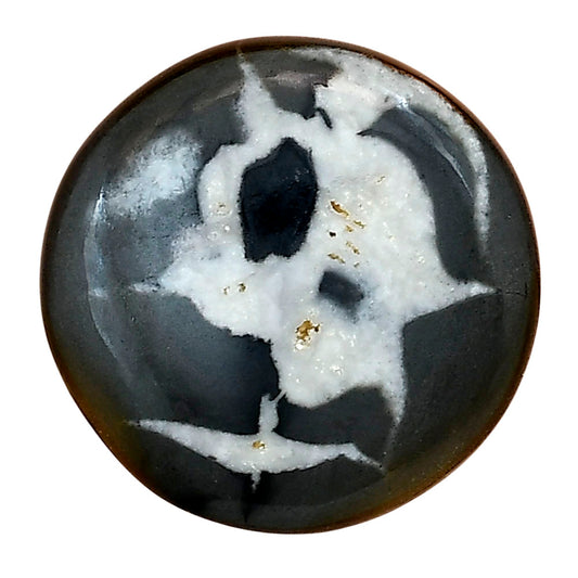 Black Septarian 26.7x26.7x5 mm Round Gemstone LS02912-47