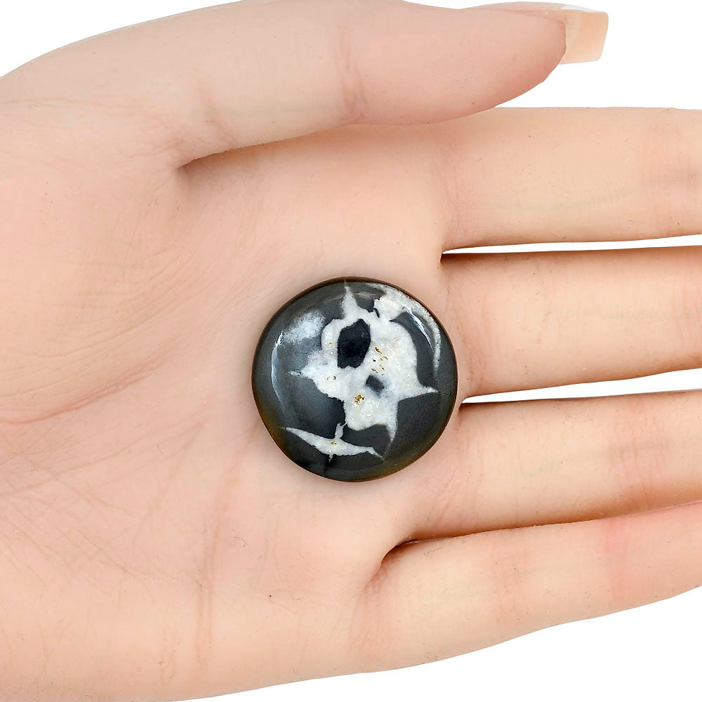 Black Septarian 26.7x26.7x5 mm Round Gemstone LS02912-47