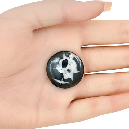 Black Septarian 26.7x26.7x5 mm Round Gemstone LS02912-47