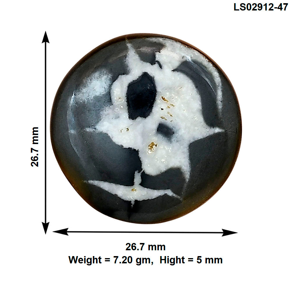Black Septarian 26.7x26.7x5 mm Round Gemstone LS02912-47