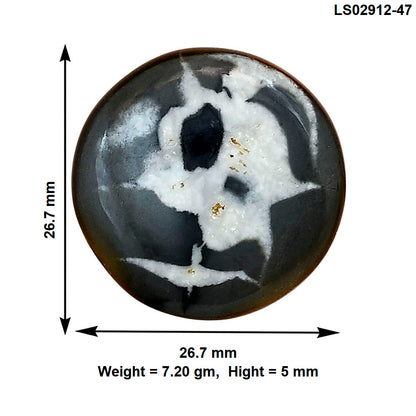 Black Septarian 26.7x26.7x5 mm Round Gemstone LS02912-47