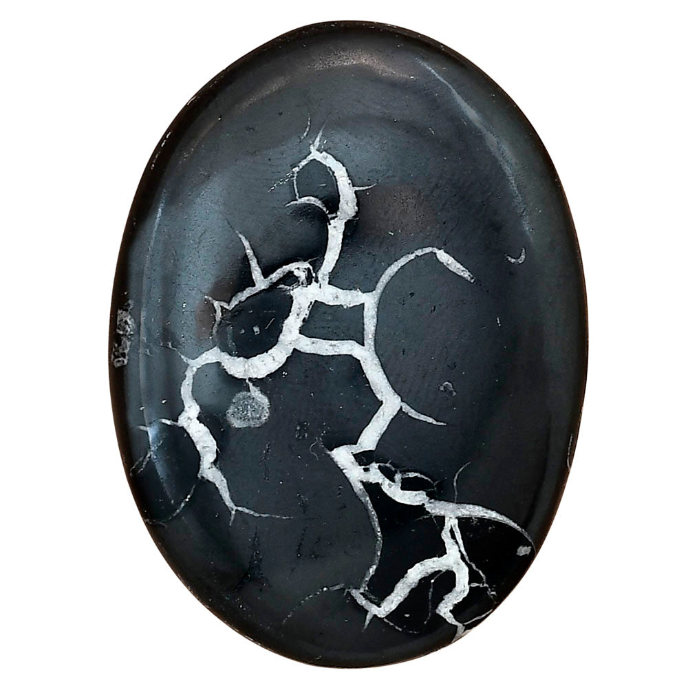 Black Septarian 43.6x32.3x4.5 mm Oval Gemstone LS02915-47