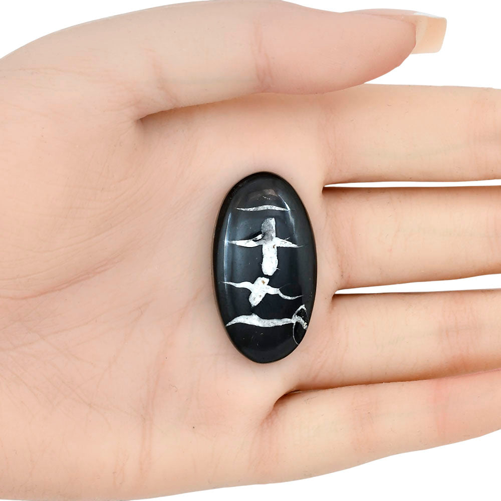 Black Septarian 35.1x19.3x6 mm Oval Gemstone LS02918-47