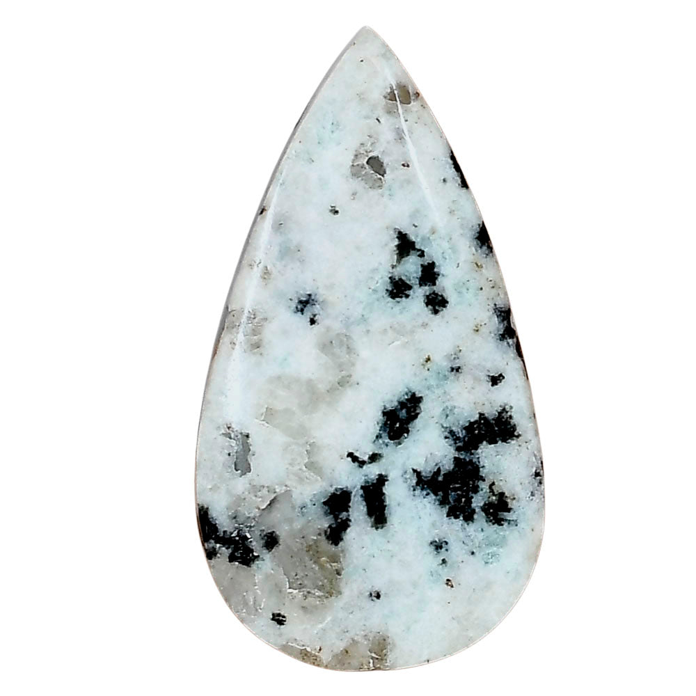 Sesame Jasper 37.14x20.1x5.5 mm Pear Gemstone LS02919-48