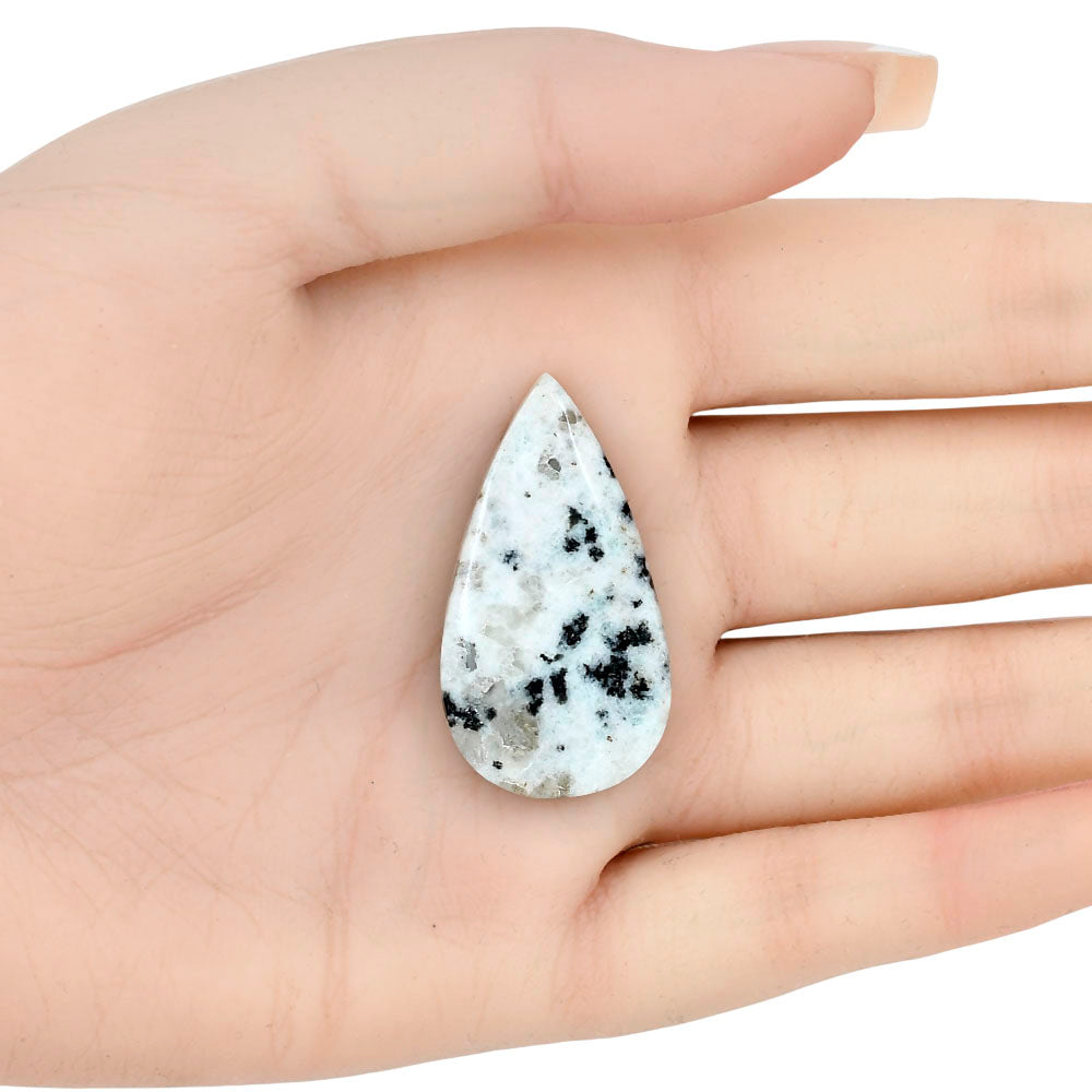 Sesame Jasper 37.14x20.1x5.5 mm Pear Gemstone LS02919-48