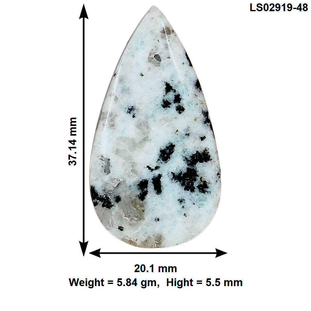 Sesame Jasper 37.14x20.1x5.5 mm Pear Gemstone LS02919-48