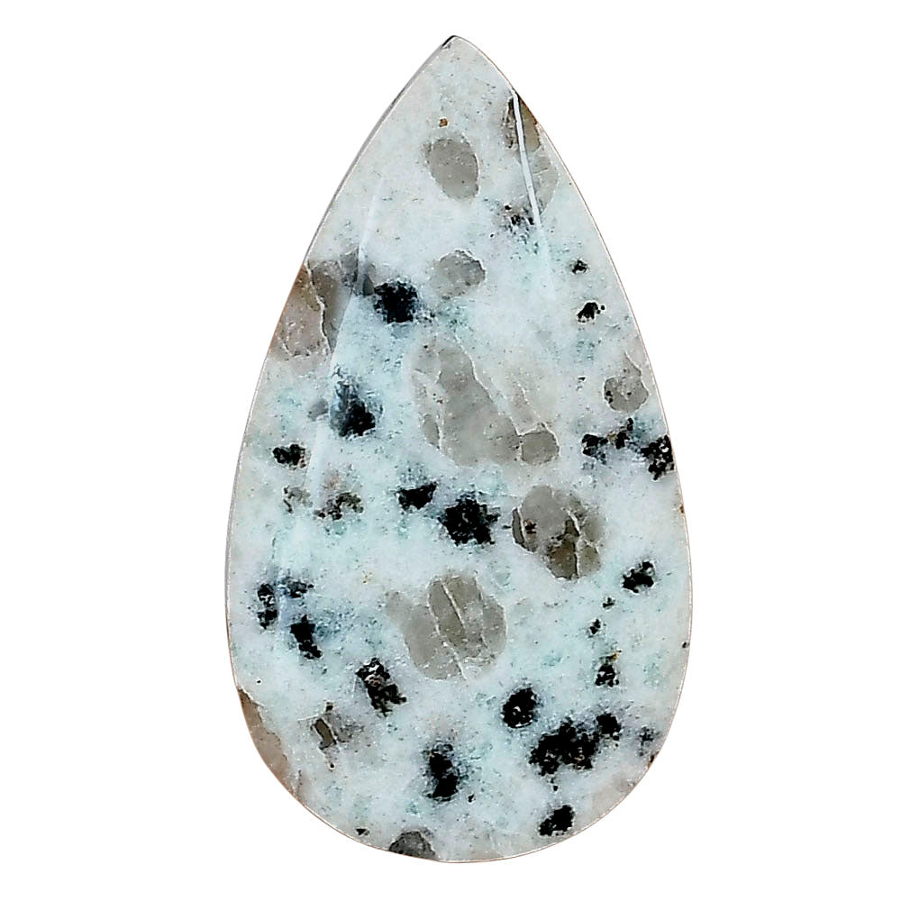 Sesame Jasper 33.56x18.9x5.3 mm Pear Gemstone LS02920-48