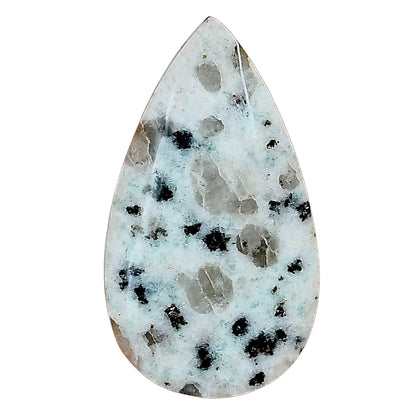 Sesame Jasper 33.56x18.9x5.3 mm Pear Gemstone LS02920-48