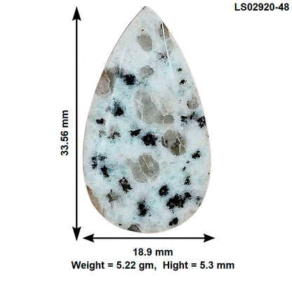 Sesame Jasper 33.56x18.9x5.3 mm Pear Gemstone LS02920-48