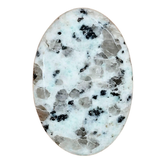 Sesame Jasper 36.93x25.9x5.2 mm Oval Gemstone LS02921-48