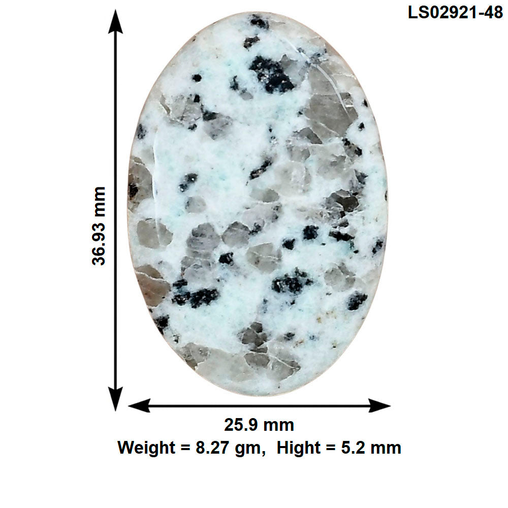 Sesame Jasper 36.93x25.9x5.2 mm Oval Gemstone LS02921-48