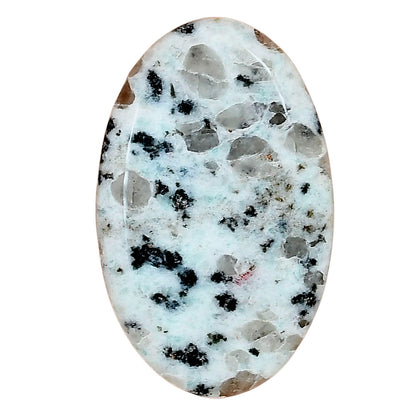 Sesame Jasper 36.82x22.94x5 mm Oval Gemstone LS02923-48