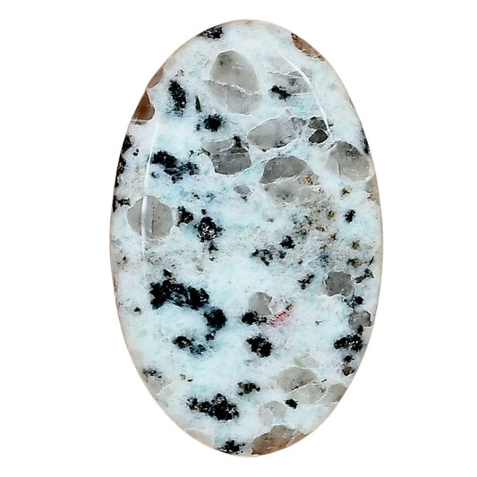 Sesame Jasper 36.82x22.94x5 mm Oval Gemstone LS02923-48