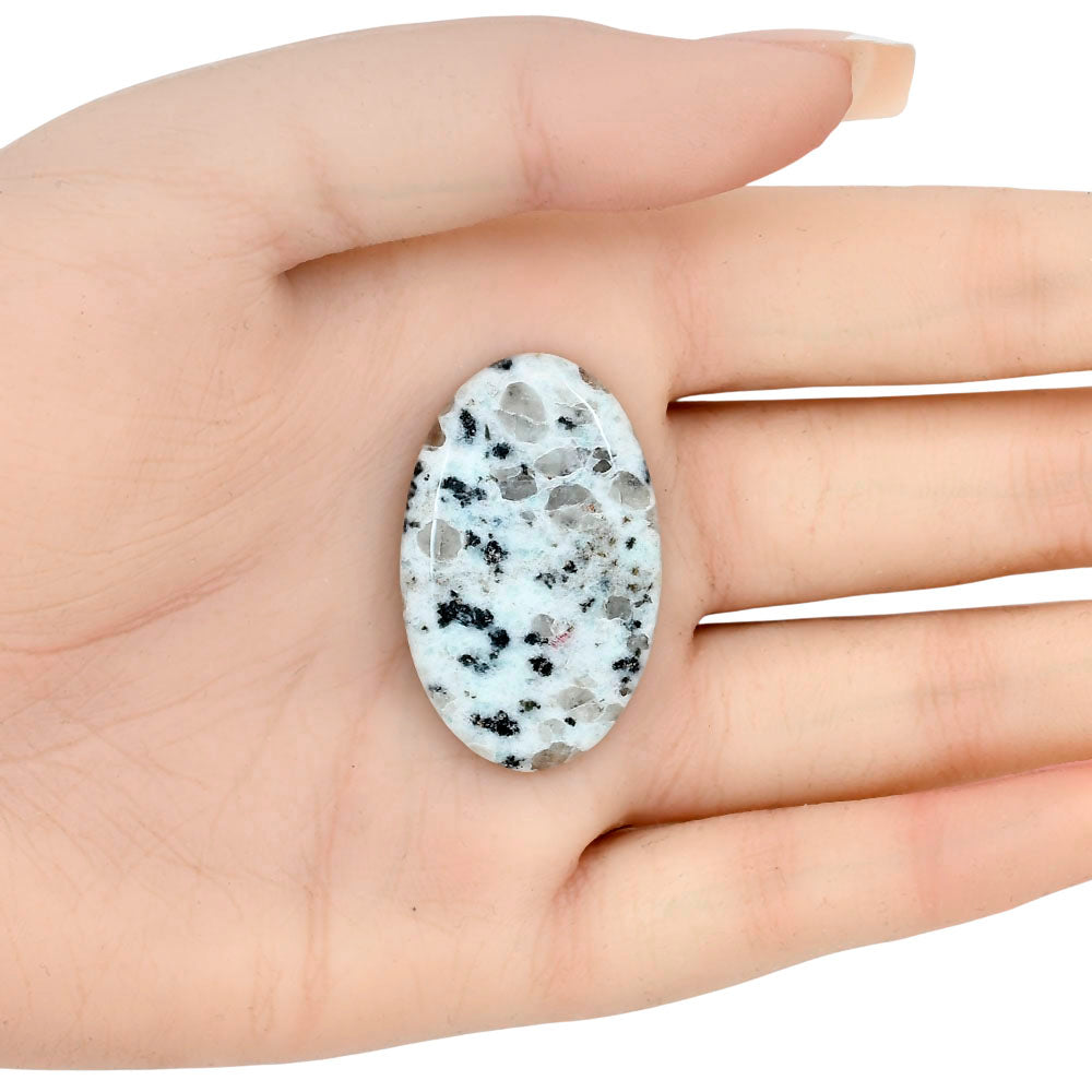 Sesame Jasper 36.82x22.94x5 mm Oval Gemstone LS02923-48