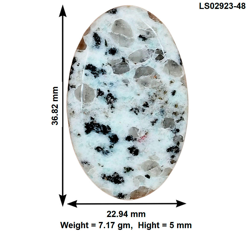 Sesame Jasper 36.82x22.94x5 mm Oval Gemstone LS02923-48