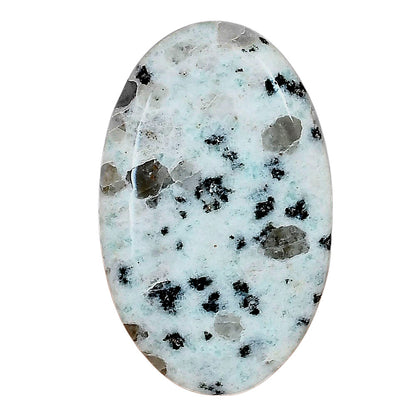 Sesame Jasper 35x21.8x5.8 mm Oval Gemstone LS02924-48